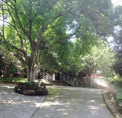 南岸松林養老院
