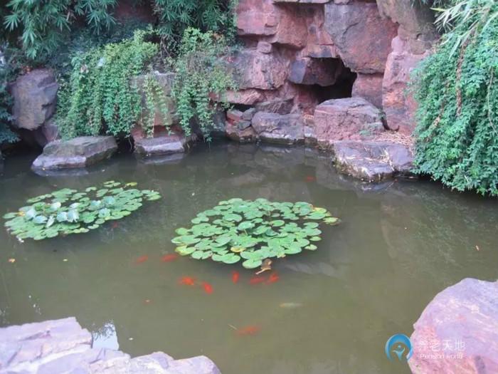 上海康樂福養老院